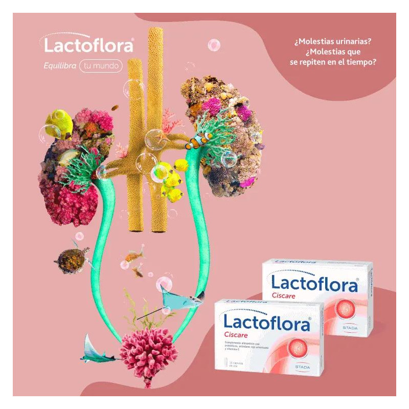 Lactoflora Ciscare Probiótico Arándano Rojo Bienestar Urinario 15 Cápsulas