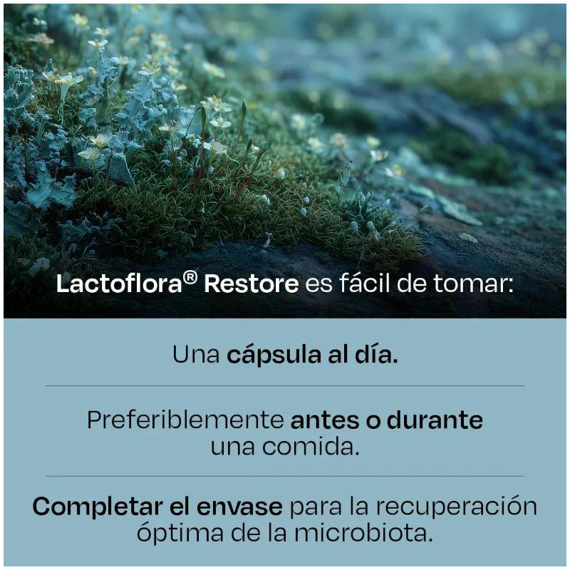 Lactoflora Probiótico Restore Equilibrio Intestinal 20 Cápsulas