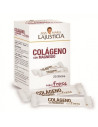 ANA MARIA LAJUSTICIA COLAGENO CON MAGNESIO SABOR FRESA, 20 STICKS