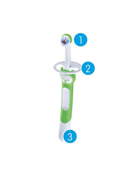 MAM TRAINING BRUSH - CEPILLO DE DIENTES PARA BEBES +5 M, VERDE