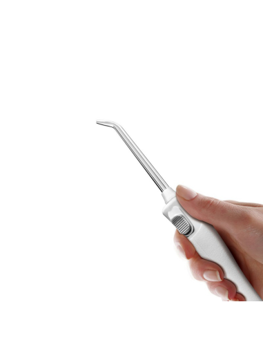 IRRIGADOR WATERPIK TRAVELER WP-300