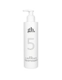 GH 5 GEL LIMPIADOR, 250ML