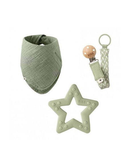 BIBS PACK REGALO MIS PRIMEROS 6 MESES, COLOR SAGE