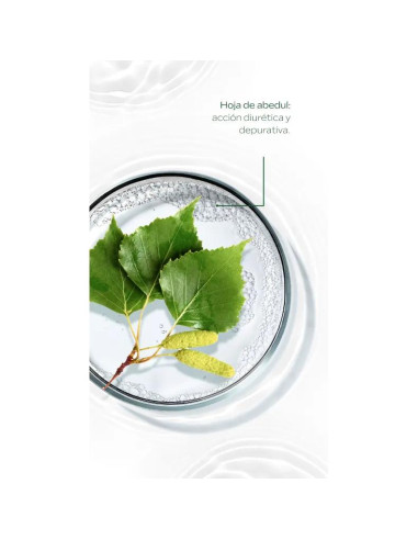 Aceite de Abedul Weleda 2x100 ml - Tratamiento...