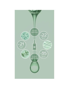 Aceite de Abedul Weleda 2x100 ml - Tratamiento Anticelulítico