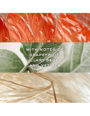 Le Parfum Nuxe Men 50 ml