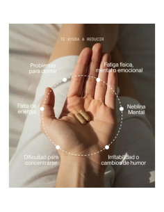 Cápsulas Veganas Daily-Electra Superlativa 60