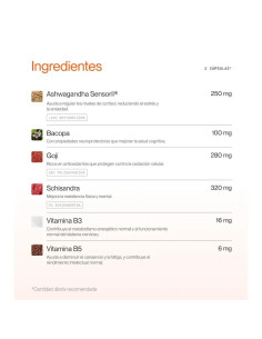 Cápsulas Veganas Daily-Electra Superlativa 60